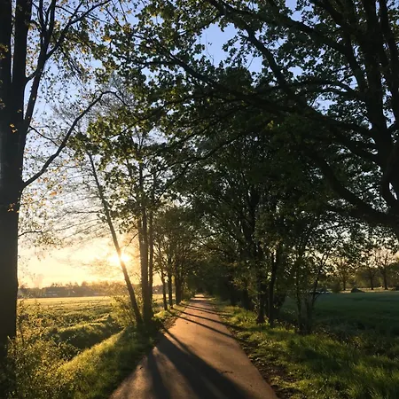 Beethoven * Runkel